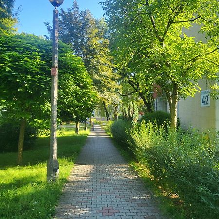 Apartamento Przytulne Mieszkanie Wola Duchacka Cracovia Exterior foto